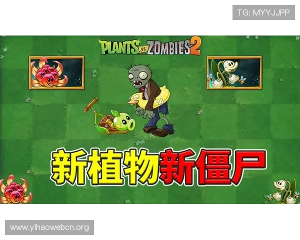 壹号国际版玩家必看：提升游戏战斗力的实用策略与建议